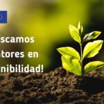 ¡Buscamos mentores en sostenibilidad!